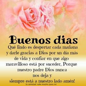 Meet your Posher, Rosy